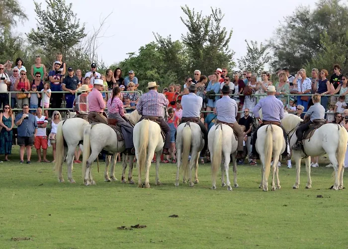 Panzió Manade Saint Louis Mas De La Paix Vauvert